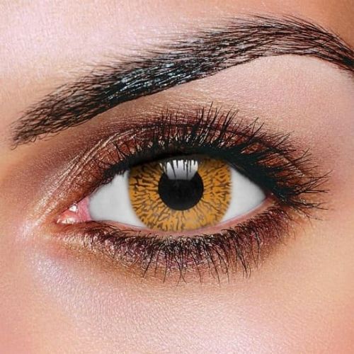 What is the color hazel look like