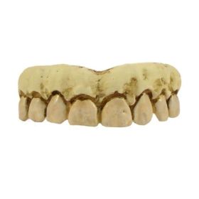 Billy Bob Skeleton Teeth